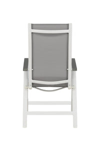 Albany-tuoli 2-pack 