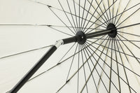 Palmetto Aurinkovarjo 