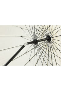 Palmetto Aurinkovarjo 