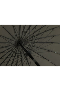 Palmetto Aurinkovarjo 