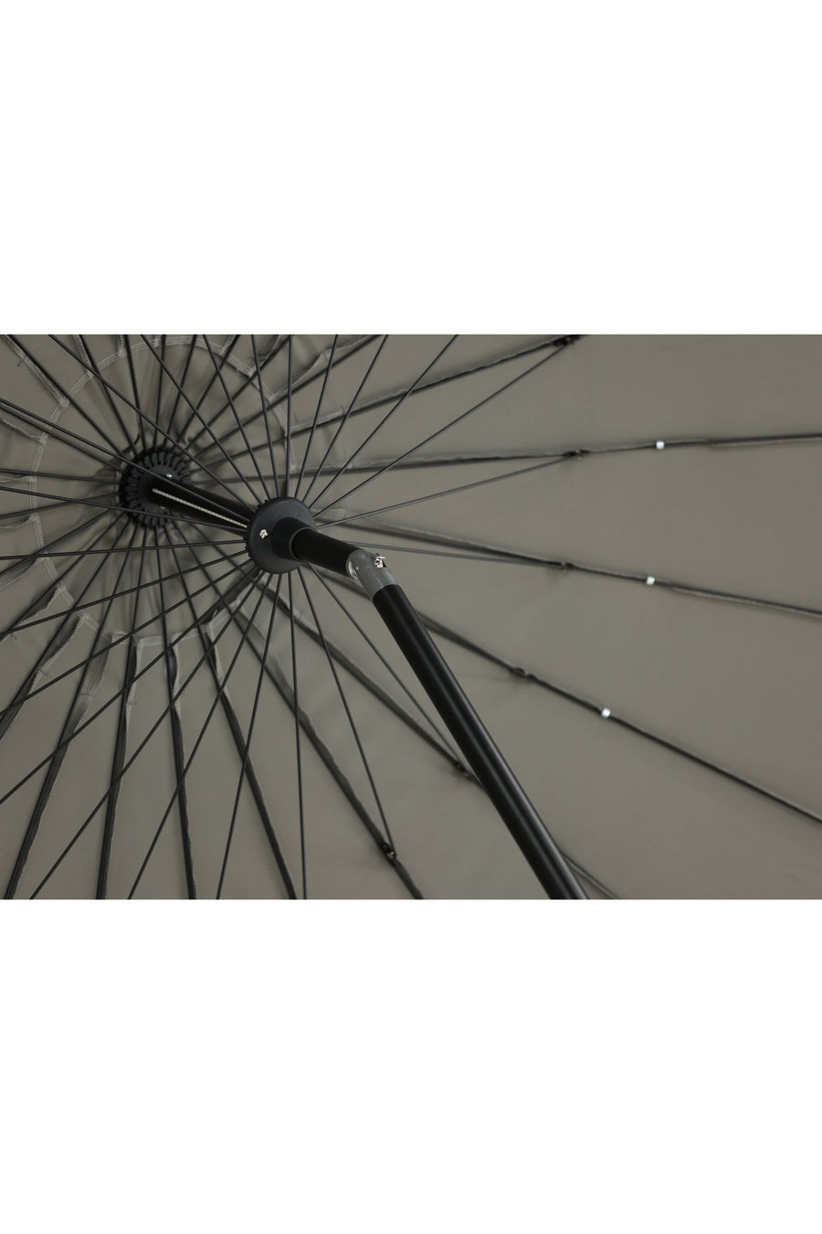 Palmetto Aurinkovarjo 