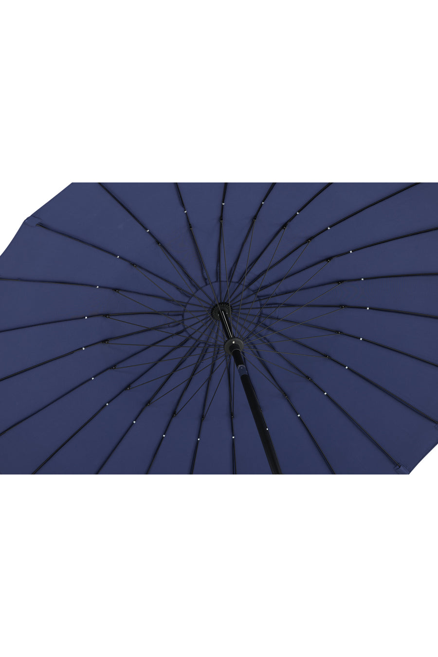 Palmetto Aurinkovarjo 