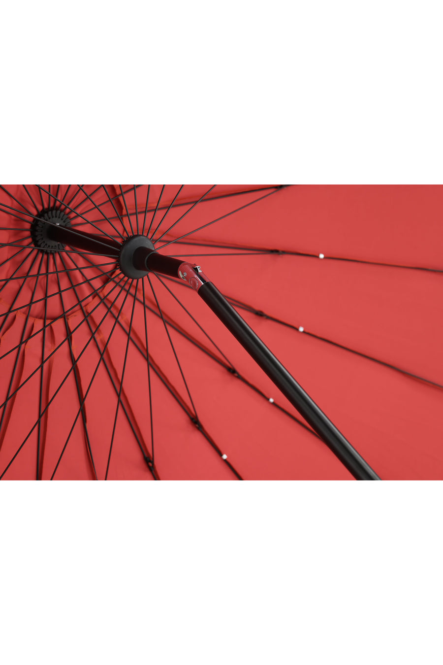 Palmetto Aurinkovarjo 