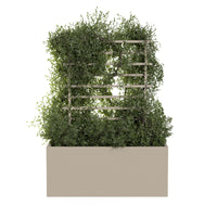 Ristikko ulkoruukkuun ROS