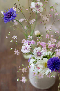 Kesä Harso Vaaleanpunainen siemen