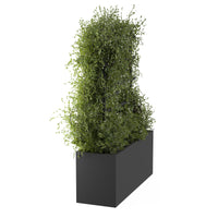 Ristikko ulkoruukkuun ROS