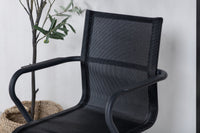 Alina ruokatuoli 6 kpl (pinottava)