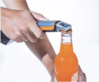 Blackstone 3-in-1 puhdistustyökalu