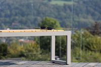 Zenia penkki 100cm - akasia / sinkki