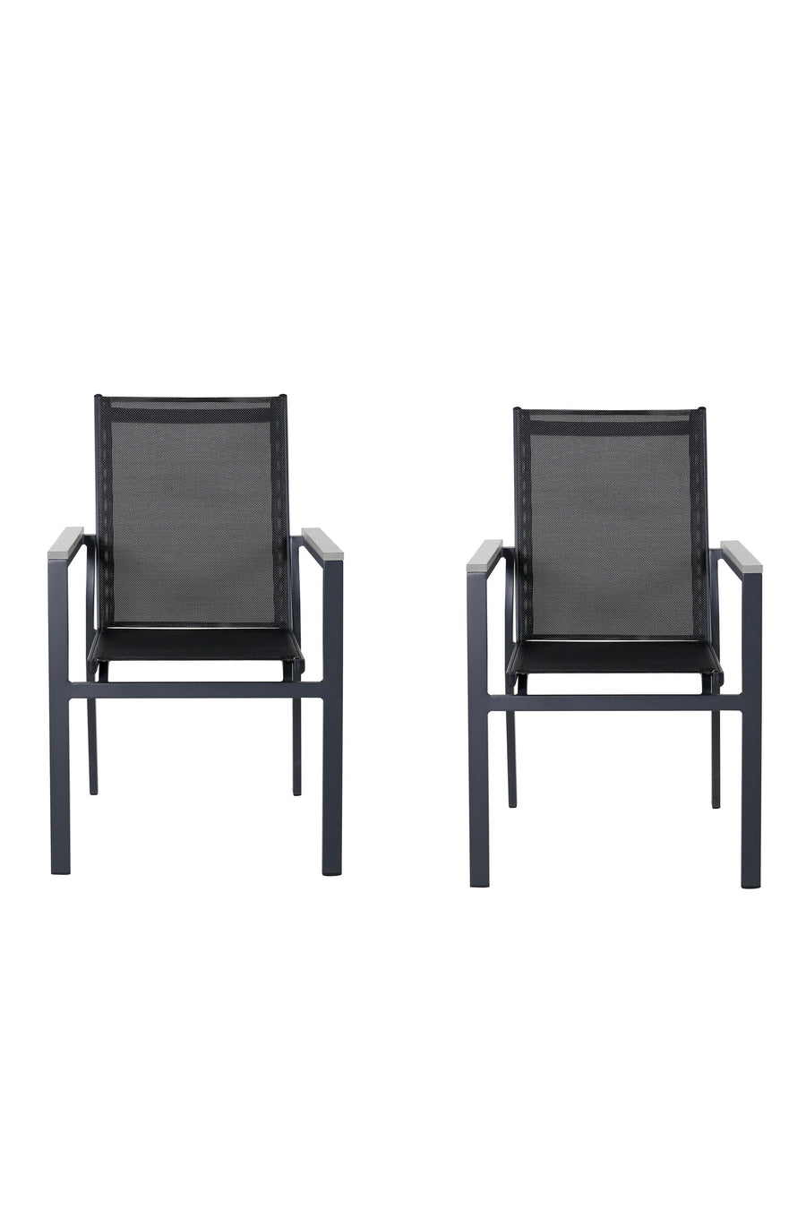 Parma Ruokatuoli 2-pack 