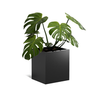 ROS ulkokukat 2-pakkaus