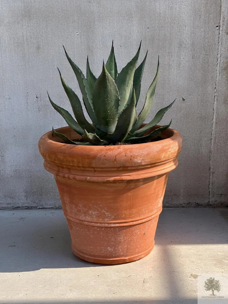 Terrakottaruukku - Toscana - 40 cm halkaisija - 35 cm korkeus 