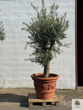 Ruukku Terrakotta - Impruneta Garland - halkaisija 80 cm - korkeus 62 cm 