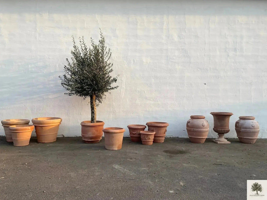 Ruukku Terrakotta Toscana - 50 cm halkaisija - 41 cm korkeus 