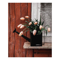 Premium-kastelukannu