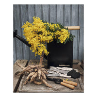 Premium-kastelukannu