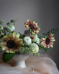 Auringonkukan siemenet Pro Cut Plum siemenet