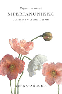 Colibrivallmo Ballerina Dreams siemenet