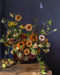 Kesäruiskukko siemenet