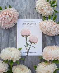 Kesäasteri Chrisantella Lotos siemenet