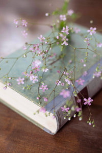 Kesä Harso Vaaleanpunainen siemen