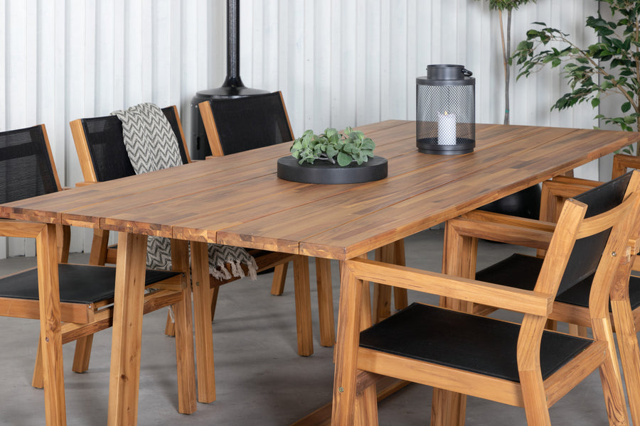 Ruokaryhmä Plankton tuoleilla Venice