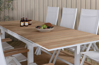 Mexico suorakaiteen muotoinen ruokaryhmä