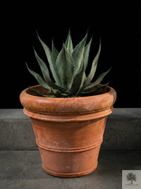 Ruukku Terrakotta - Siena - 40 cm halkaisija - 35 cm korkeus 
